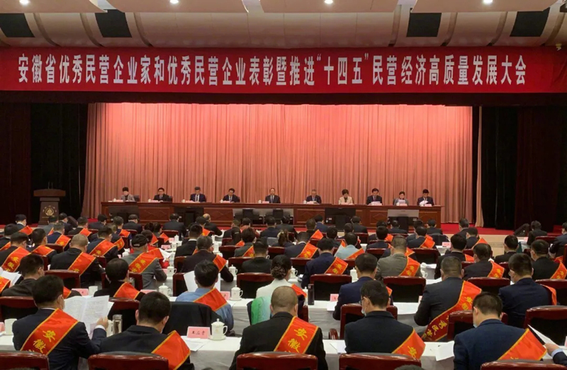 喜訊！元琛科技總經(jīng)理梁燕被授予“安徽省優(yōu)秀民營(yíng)企業(yè)家”稱(chēng)號(hào)